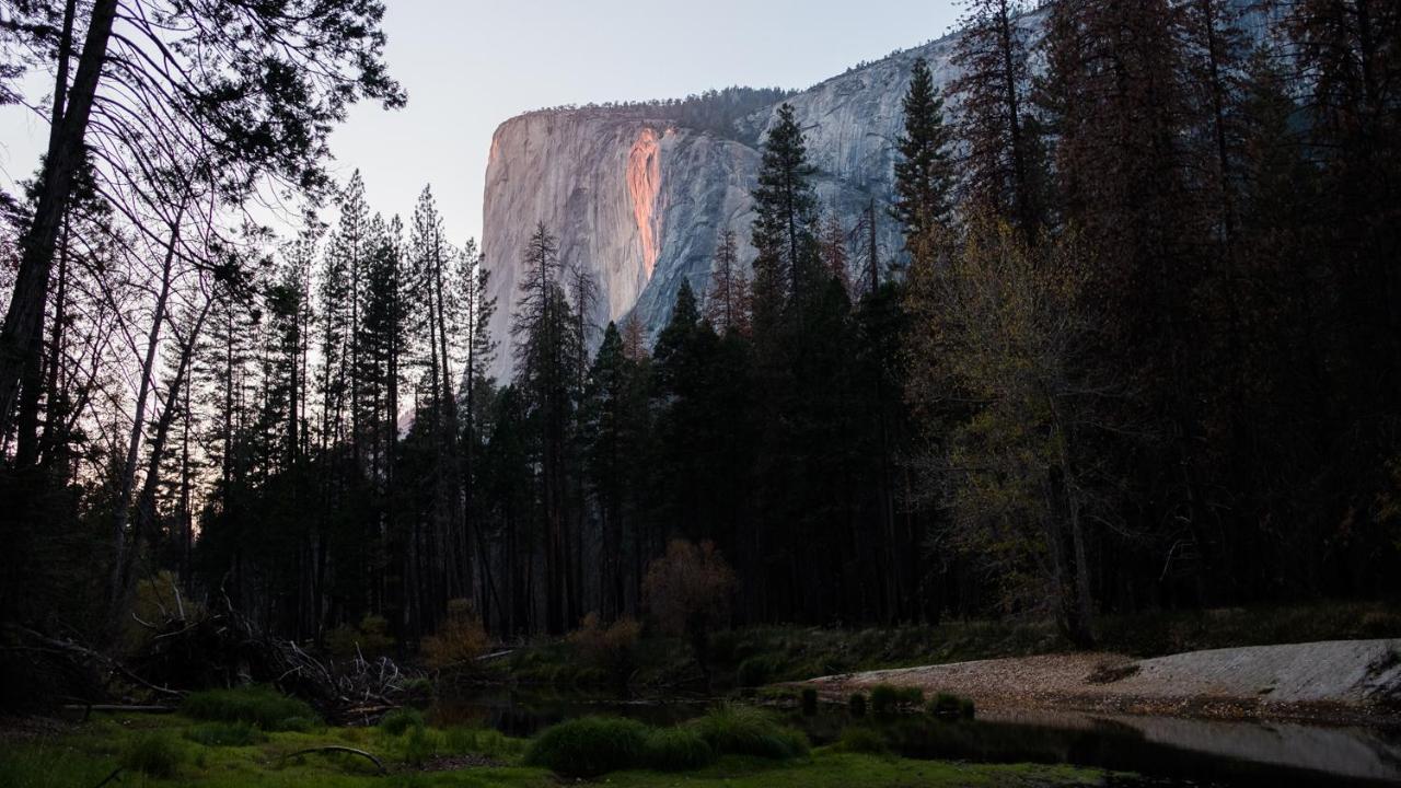 מלון מידפינס Autocamp Yosemite מראה חיצוני תמונה